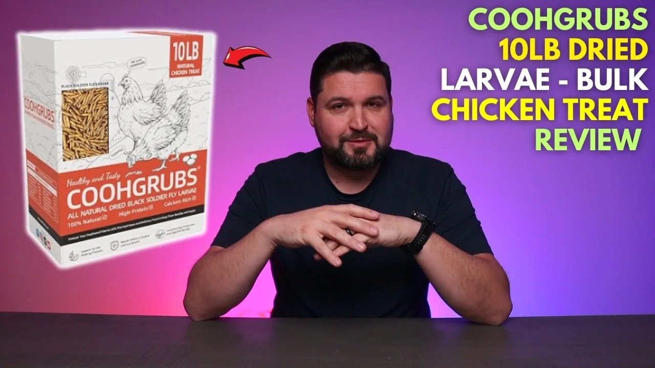 COOHGRUBS 10LB Dried Larvae - BULK Chicken Treat Review