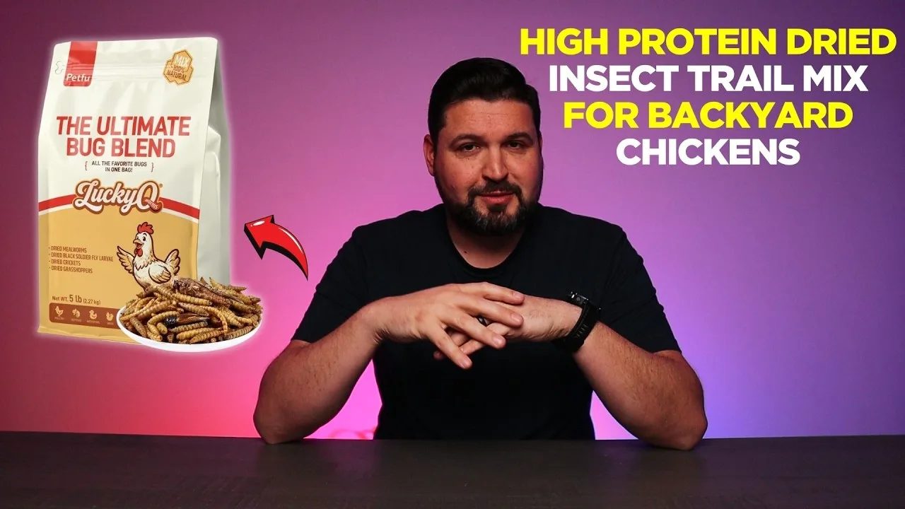 HIGH PROTEIN Dried Insect Trail Mix for Backyard Chickens
