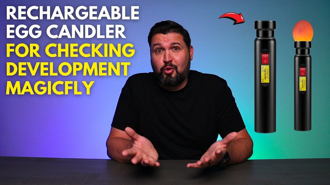 Rechargeable Egg Candler for Checking Development - Magicfly