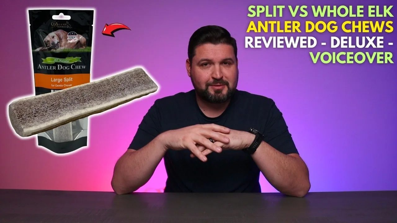 Split vs Whole Elk Antler Dog Chews REVIEWED - Deluxe